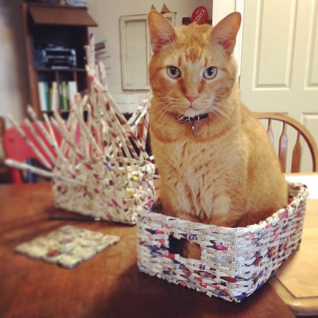 Upcycled Basket Weaving, non-member