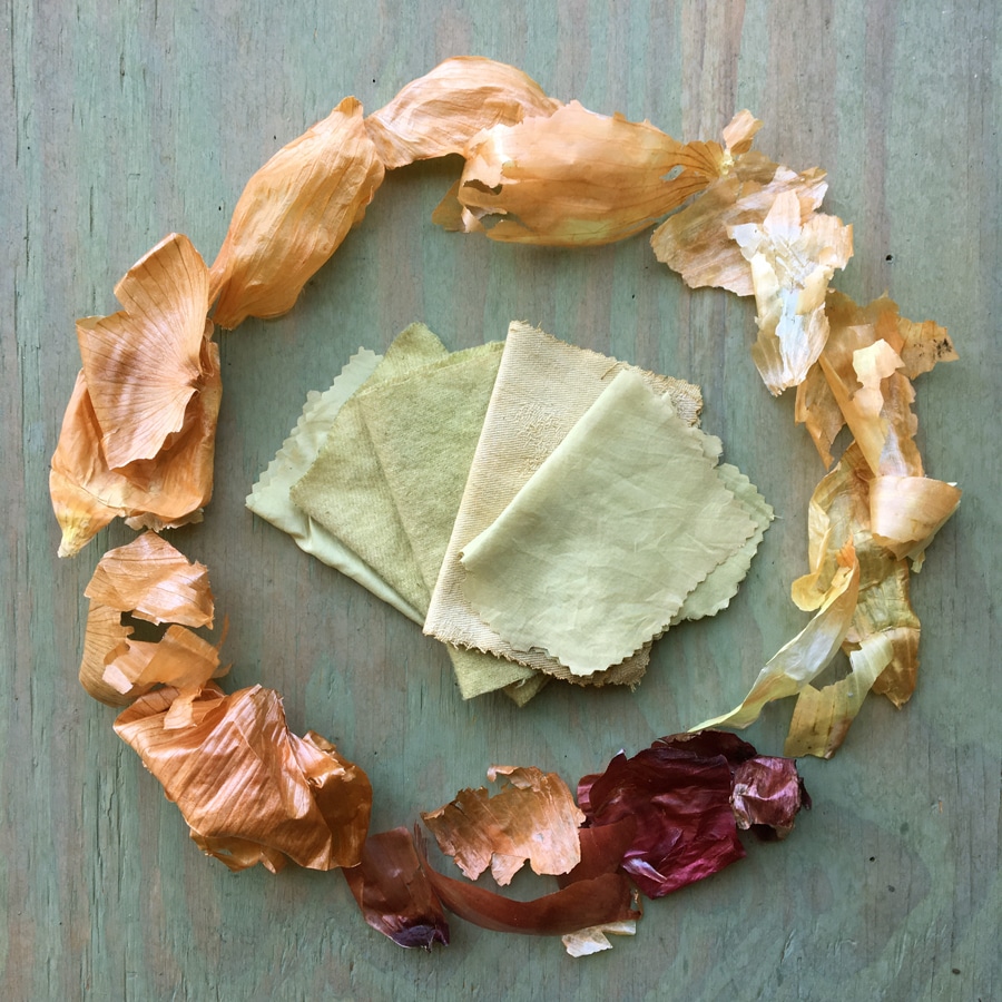 Intro. to Botanical Dyes - Member