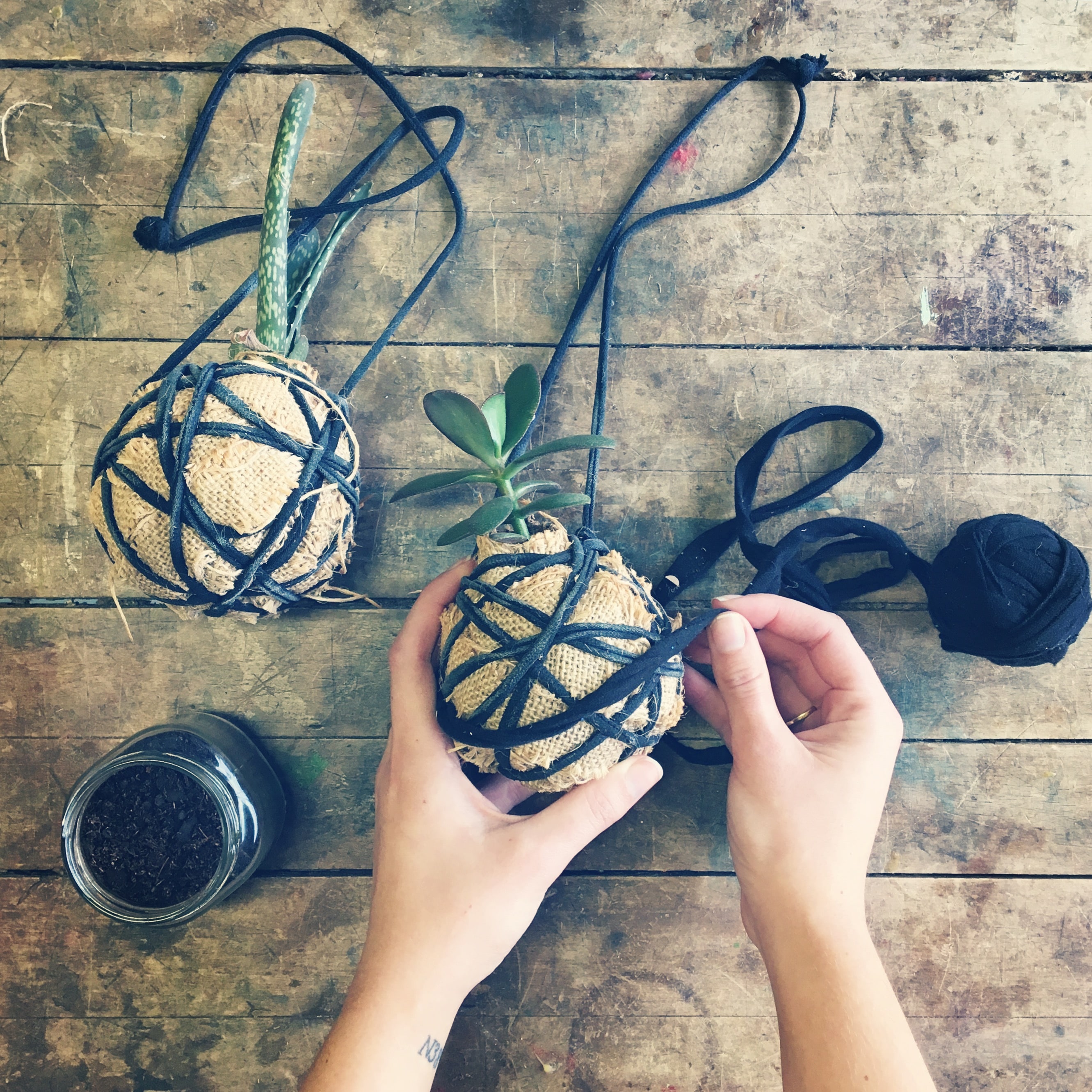 Kokedama - Non-Member